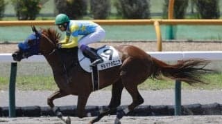 【函館3R】武豊騎乗 単勝1.5倍のデルマアポロニアが人気に応える