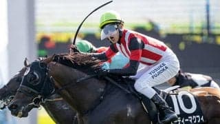 【青函S結果】芝替わりで12番人気のエーティーマクフィが差し切りV