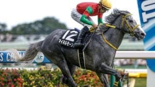 【函館記念予想】今年は例年以上に前有利!? 評価すべき点よりも不安要素が目立つ人気馬とは