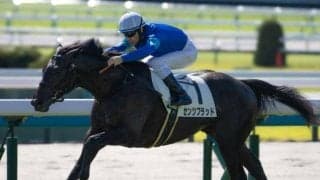 【ラジオNIKKEI賞前日オッズ】センツブラッドが6.2倍で1番人気