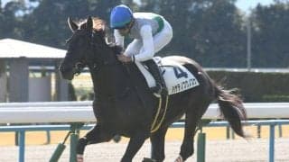 【函館記念前日オッズ】ハヤテノフクノスケが2.9倍で1番人気