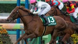 函館芝は傾向が変化!? キミノナハマリアが波乱呼ぶ