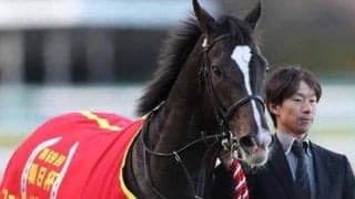 新種牡馬ダノンプレミアム産駒 スミッコディスコが産駒初勝利狙う