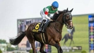 【AI予想・ラジオNIKKEI賞予想】前走の末脚に見どころあり！ 展開利が見込める人工知能の本命馬