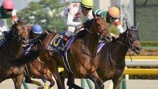 活躍馬続出の名牝系出身 木村哲也厩舎のハイティーが初陣Vなるか