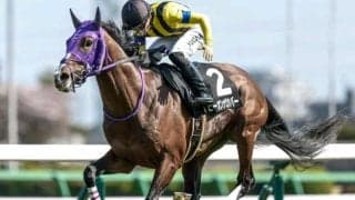 【ラジオNIKKEI賞予想】JRA唯一の「3歳ハンデ」重賞 ロングスパート型の馬が有利に