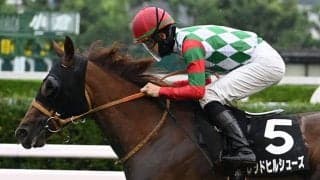 【佐世保S】外枠が好成績を残すスプリント戦 パワー型の血統に要注目