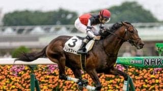 【ラジオNIKKEI賞予想】荒れるレースにも妙味◎傾向あり!? 過去データで探るラジオNIKKEI賞