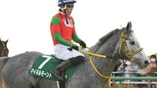 【競馬予想】高額配当必至の函館記念は、中山の重賞で好走実績がある２頭に注意せよ