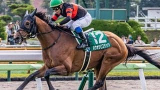 【函館記念】1、2番人気が低調で荒れる一戦 二桁人気に要注意