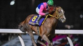 【大井・帝王賞枠順】JpnI・5勝目狙うメイショウハリオは6枠9番、アンタレスSを快勝したミッキーファイトは2枠2番