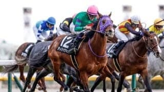 【函館記念・馬体重】ディマイザキッドは460kg(±0)、マコトヴェリーキーは472kg(+6)