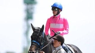 【函館6R】武豊サクラアドリアが人気に応える