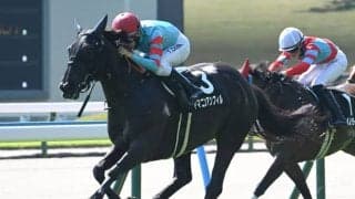 【JRA・WIN5】本日のWIN5は的中55票、配当833万5070円