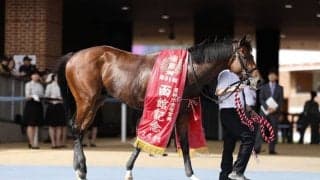 【函館記念】佐々木「イメージ通り乗れた」ヴェローチェエラが重賞初制覇