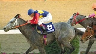 『ウマ娘』でも描かれた伝説の数々...芦毛の怪物オグリキャップが最後に見せた奇跡の激走