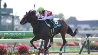 WIN5は800万円超の払戻し…函館記念はヴェローチェエラが快勝