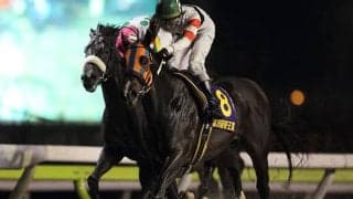 帝王賞3勝目を目指した馬 16年のホッコータルマエ
