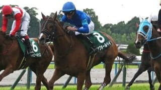 【北九州記念見どころ】古馬との初対戦も力上位アブキールベイ