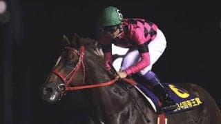 1位は“生涯最大”を記録した9馬身差 帝王賞の着差ランキングトップ5