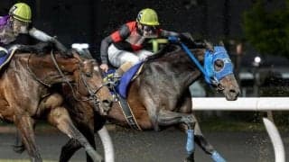 【帝王賞】地方馬15年ぶりの戴冠なるか 粒ぞろいのメンバーで打倒JRA勢へ