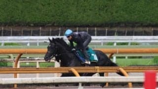 ベレシートなど、先週の入厩情報/栗東トレセンニュース