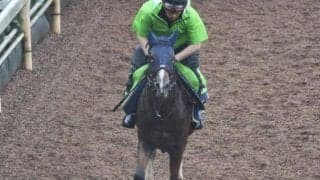 エクストラペトルの2023(シャンペトルブーケ)など、先週のゲート試験/栗東トレセンニュース