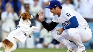 「デコちゃん、まさか泳げたとは」大谷翔平インスタ更新　愛犬デコピンの愛くるしい姿に話題沸騰「わぁ、涼しそう！」