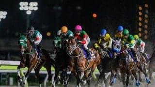 帝王賞の過去10年傾向 注目の人気やジョッキーは？