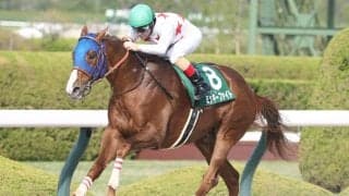 【帝王賞】ミッキーファイトは2枠2番