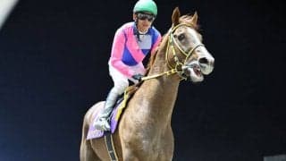 【帝王賞】メイショウハリオ無念の競走除外…史上初の帝王賞3勝目ならず