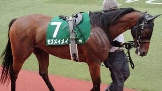 今年も北九州記念で復活か モズメイメイが昨年魅せた大激走