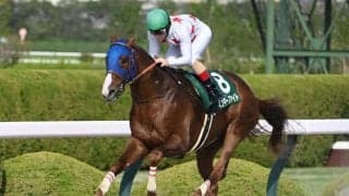 【大井・帝王賞注目馬】中央馬の15連勝か、地方馬が意地をみせるか ダート王者決定戦に13頭