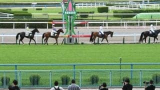 今週末の小倉は“アジア色” タイやインドなどレース名になっている各国の競馬事情を深堀り