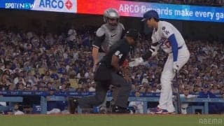 「審判さんへのごめんねホーマー」大谷翔平、ファールチップ直撃の審判へ細やか気配りの“神対応”→即HRにファン騒然