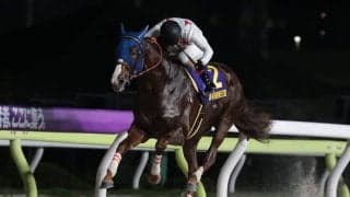 【帝王賞】ミッキーファイトが早め先頭から横綱相撲で優勝　鞍上は「未来のスーパースターホース」と太鼓判