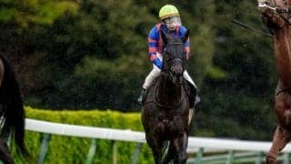 【北九州記念予想】データ面からも不安要素なし！ AIがピックアップした“人気を集めそう”な一頭とは