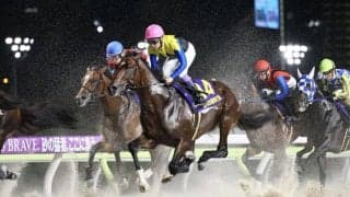 【帝王賞】武豊「頑張ってくれた」ノットゥルノが見せ場十分の3着