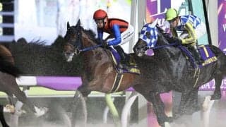 【帝王賞】吉原「チャレンジしたかった」高知シンメデージーは9着