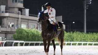 【帝王賞】ルメール「スターホースへの未来見えた」ミッキーファイトが交流G1初制覇