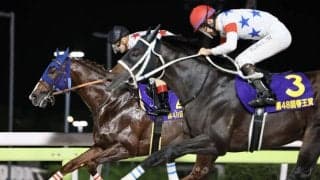 【帝王賞】松山「悔しいです」レース後ジョッキーコメント