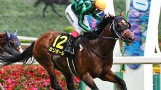 【北九州記念】レース史上最高齢Vなるか 9歳のカリボールが重賞初制覇狙う
