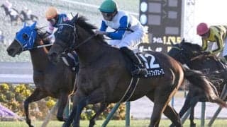 【北九州記念出走馬・騎手確定】ロードフォアエース＆川田将雅騎手、ヨシノイースター＆内田博幸騎手など18頭