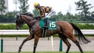 【北九州記念】2年目の高杉吏麒騎手 モズメイメイで重賞初勝利なるか