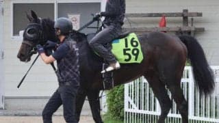 【JRA新馬戦】オークス馬シンハライトの仔アランカールなどがデビュー