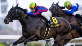 【北九州記念枠順確定】ヨシノイースターは8枠18番、ロードフォアエースは7枠15番