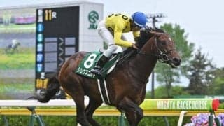 【七夕賞想定馬・騎手】シリウスコルト、ドゥラドーレスなど14頭