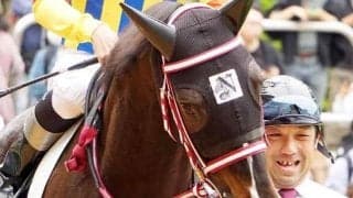 6億円馬の仔ゲンパチルーナ 5馬身差Vの勢いで連勝へ