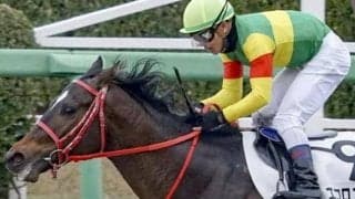 福島ダートは圧倒的に逃げ先行有利 エコロアゼルの押し切りだ