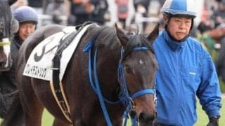 デビューから100％連対 グレイテストソングが破竹の3連勝となるか